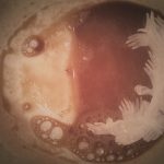 Barangkali Kita Hidup dalam Ampas Kopi